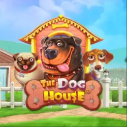 The Dog House Slot Game