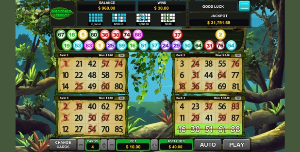 Amazonia Bingo real money online.