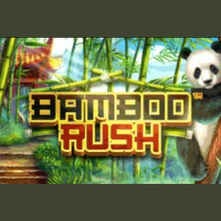 Bamboo Rush slot game