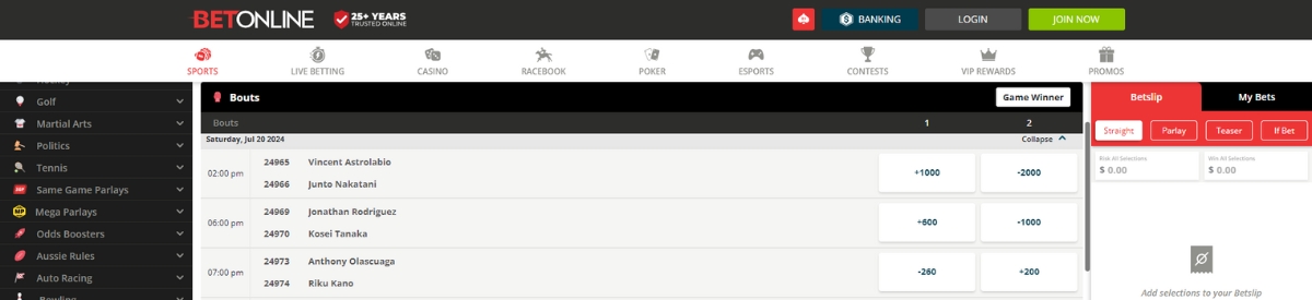 BetOnline boxing interface