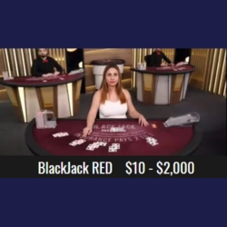 A professional dealer managing a Blackjack Red table with players seated and engaged.