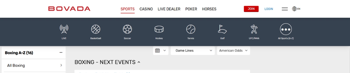 Bovada Misfits Boxing Betting