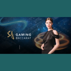 A fast-paced baccarat game for experienced players by SA Gaming