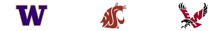 Washington College Teams